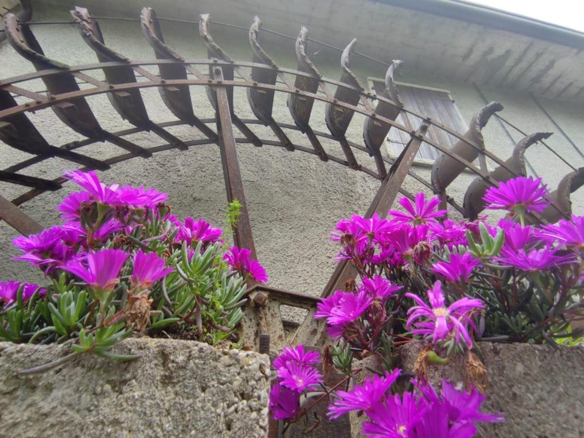Casa Agnese Verona Appartamento Parcheggio In Struttura San Martino Buon Albergo Dış mekan fotoğraf